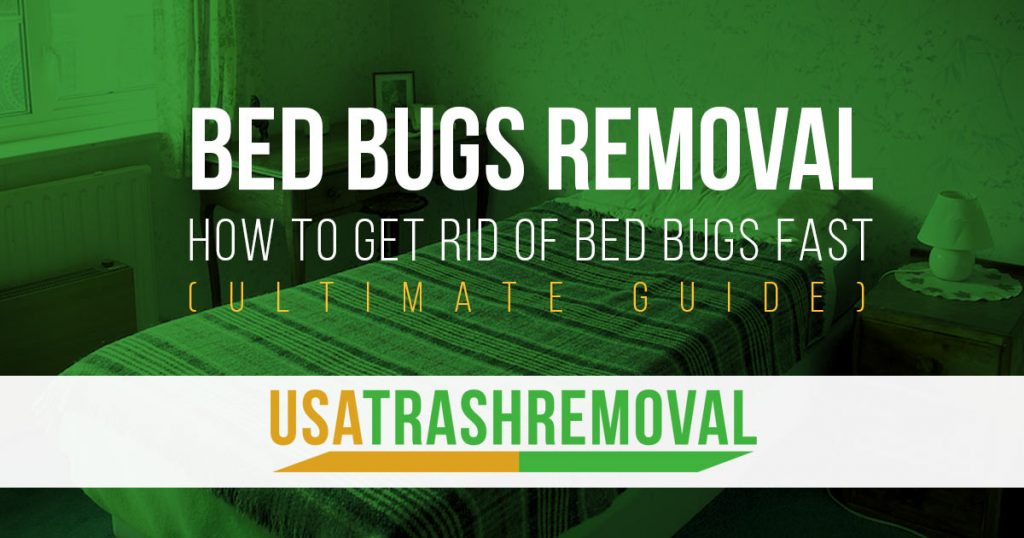 How To Get Rid of Bed Bugs Fast Bed Bug Furniture Removal
