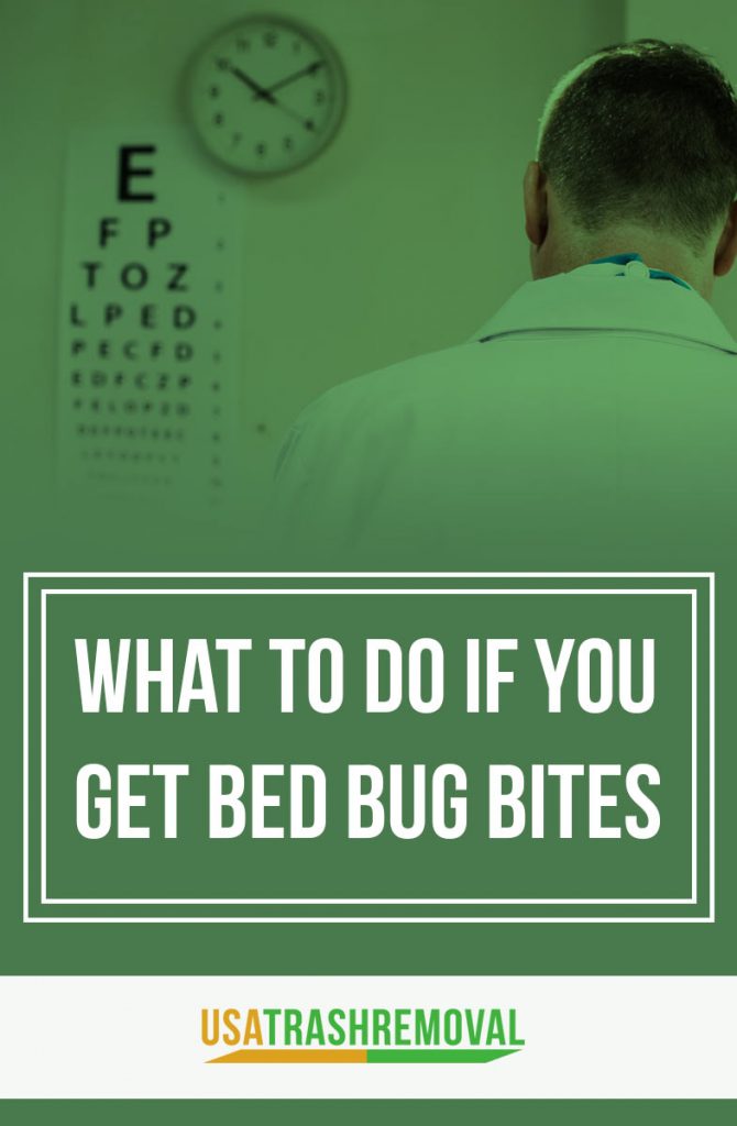 How To Get Rid of Bed Bugs Fast Bed Bug Furniture Removal